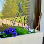 Appartement Juedel Mit Saunanutzung Beierfeld