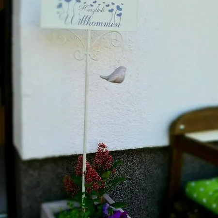 Jüdel Mit Saunanutzung Beierfeld