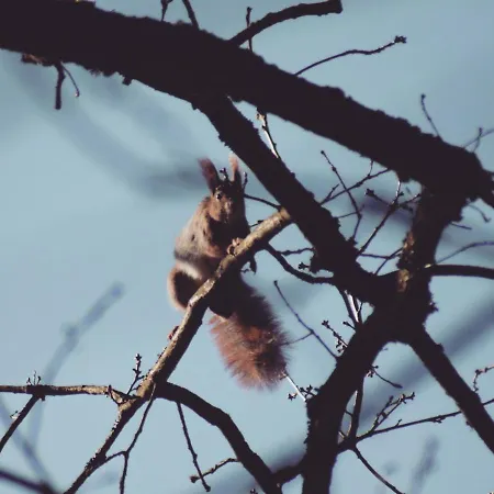 Apartment Jüdel Mit Saunanutzung