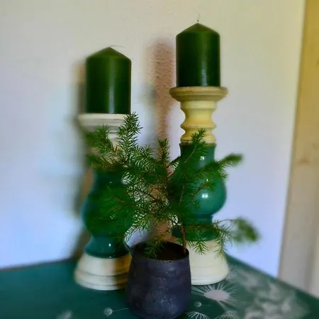 Apartment Jüdel Mit Saunanutzung *