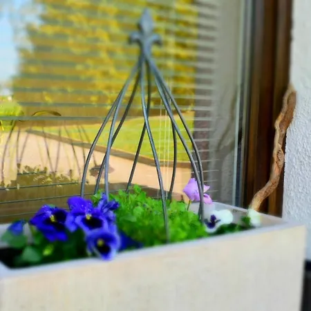 Apartment Jüdel Mit Saunanutzung Beierfeld