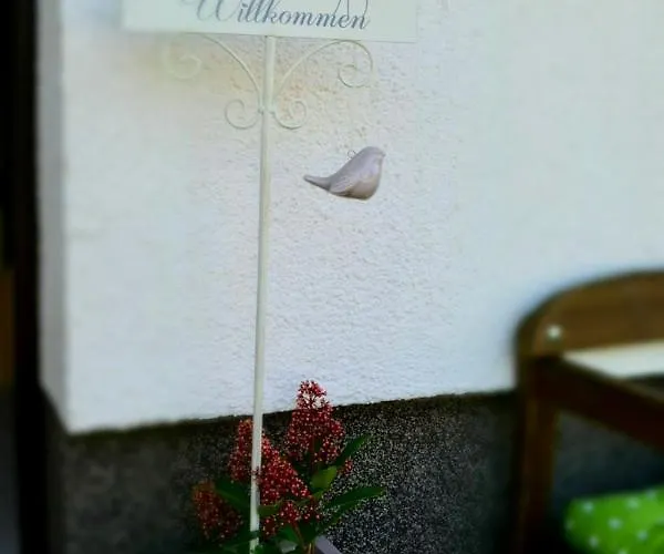 Juedel Mit Saunanutzung Beierfeld