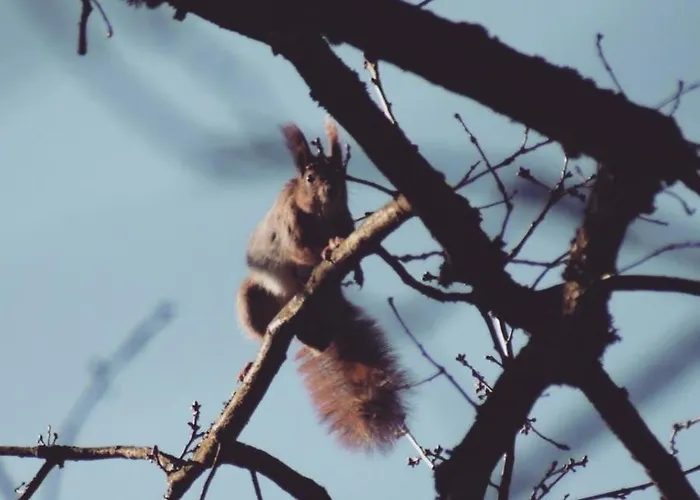 شقة Juedel Mit Saunanutzung