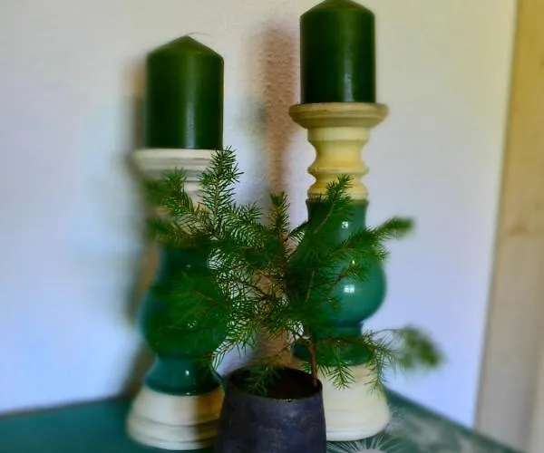 شقة Juedel Mit Saunanutzung *