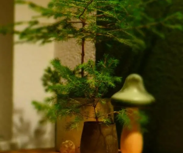 شقة Juedel Mit Saunanutzung